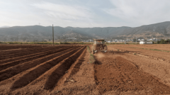 <b>楚雄大姚龙街镇：机械化升级多元成长帮增收</b>